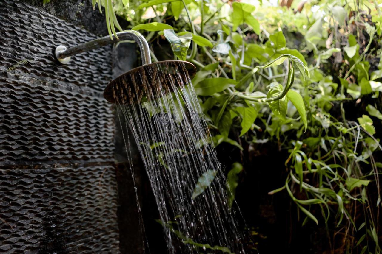 D'Bale Ananda Ubud Villa Ngoại thất bức ảnh