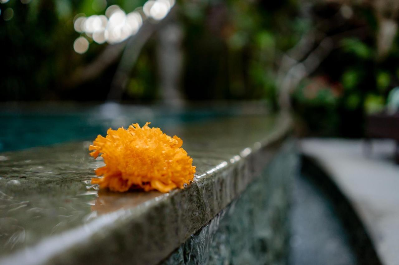 D'Bale Ananda Ubud Villa Ngoại thất bức ảnh