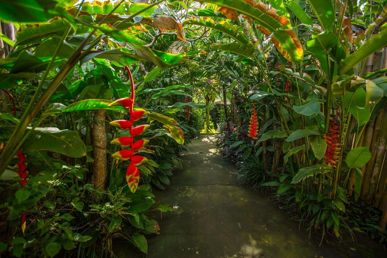 D'Bale Ananda Ubud Villa Ngoại thất bức ảnh